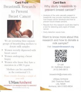 recruitment rack card lactating breast cancer, biopsy or brca mutation carrier